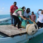 Inicia formación del primer arrecife artificial en Río Lagartos