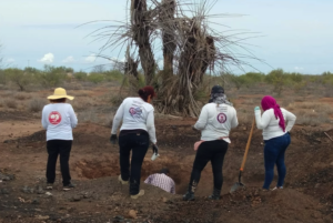 Captura de pantalla 2026-04-22 a la(s) 19.34.54