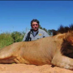 Elefantes sorprenden y matan a cazador en Gabón