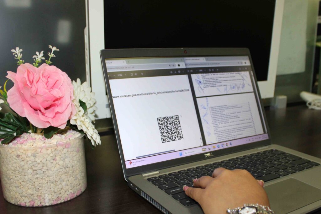 WhatsApp Image 2026-04-25 at 12.03.32