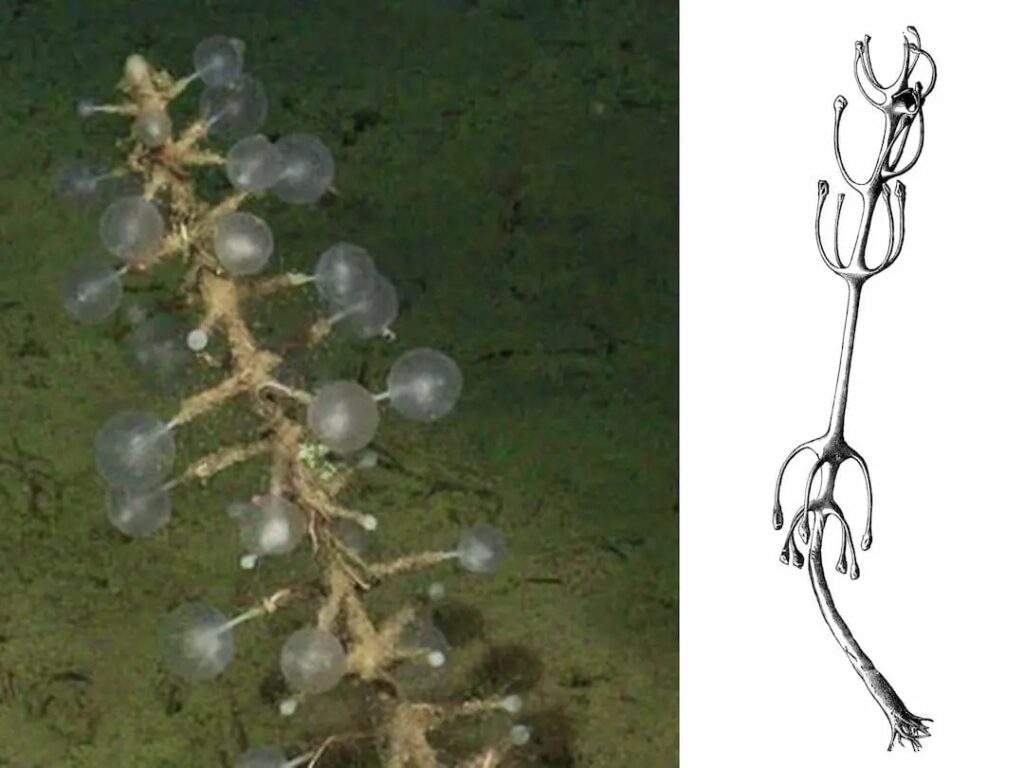 WhatsApp Image 2026-04-28 at 14.09.57