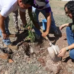 Reverdece la UTP con el programa “Renacimiento Verde en tu Escuela”