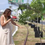 Cecilia Patrón inicia trabajos de arborización en el Circuito Colonias poniente