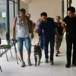 Zeus regresa a su hogar