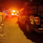 Movilización por enjambre agresivo; reportan dos lesionados y un canino muerto