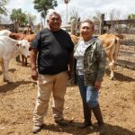 Renace la ganadería de Yucatán con el rescate de vientres
