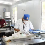 Yucatán mantiene cinco años sin rabia en perros y gatos; SSY llama a la tenencia responsable