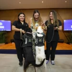 Más adopciones, más esterilizaciones y más acciones por el cuidado animal: Cecilia Patrón