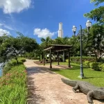 Yucatán mantiene aislado el lago donde se confirmó Naegleria fowleri; investigará y sancionará a los responsables